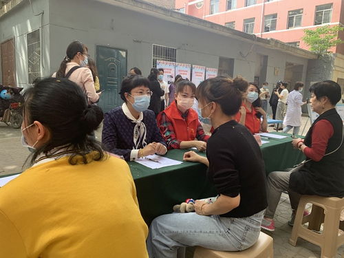 西安日报官方网站 权威教育咨询平台，助力学生成长与教育发展