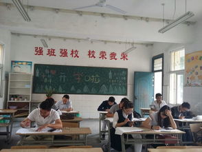 点航教育之一学历咨询篇 精准规划，点亮升学之路