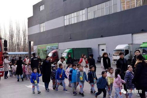 寓教于行 幼儿社会实践活动的教育价值与实施建议